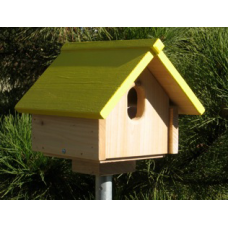 Cedar Swallow House